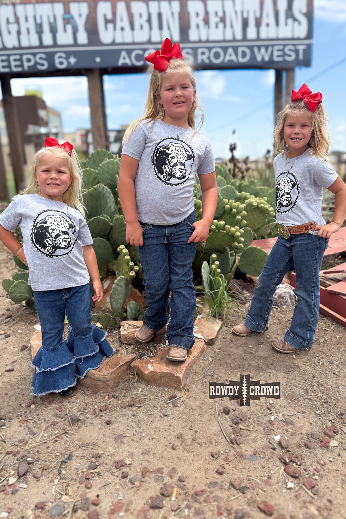 DS KIDS Happy Hereford Tee- GREY